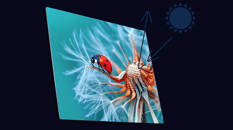 Coated aluminum print illustrated in sunlight to represent normal display durability